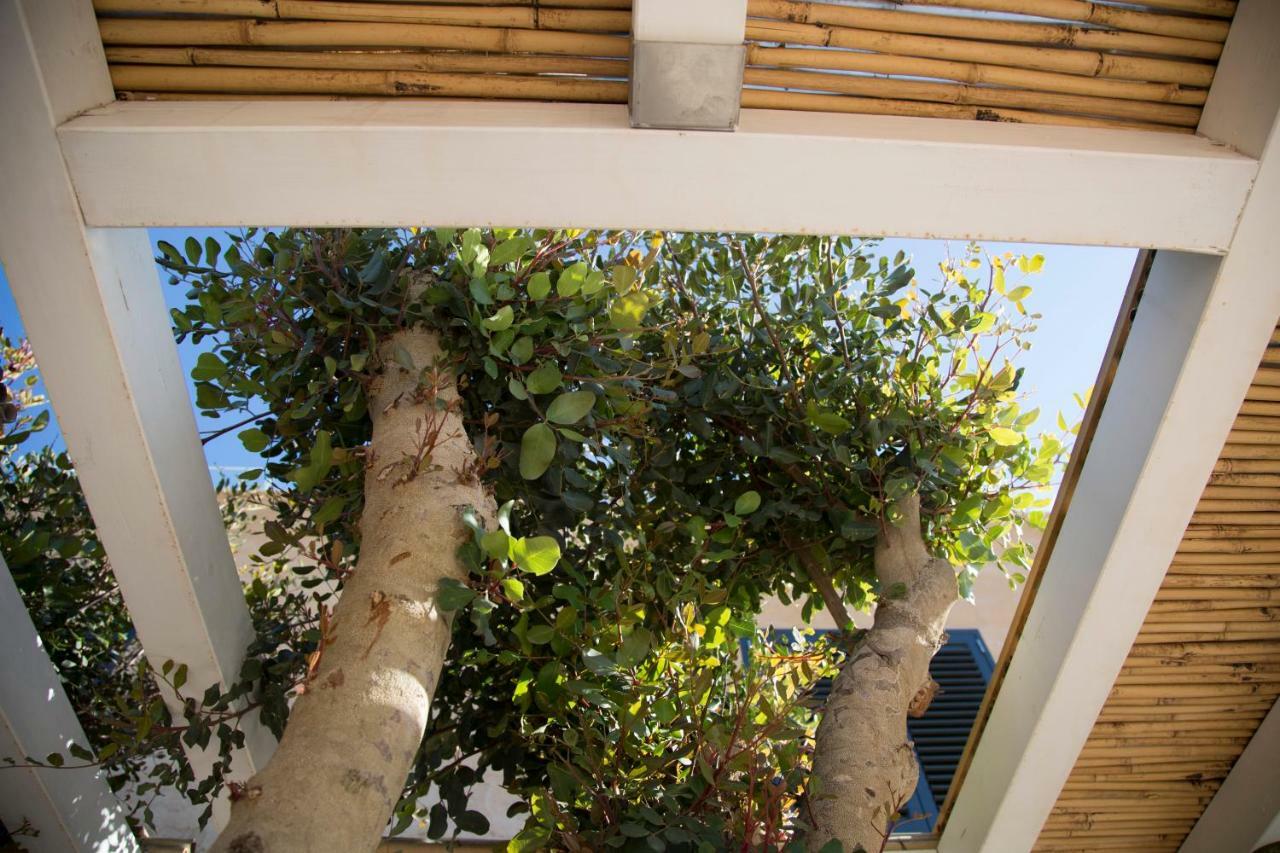 Le Suites Del Carrubo Ilha de Ilha de Favignana Exterior foto